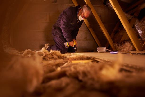 Insulation Repair Services in Corsicana, TX